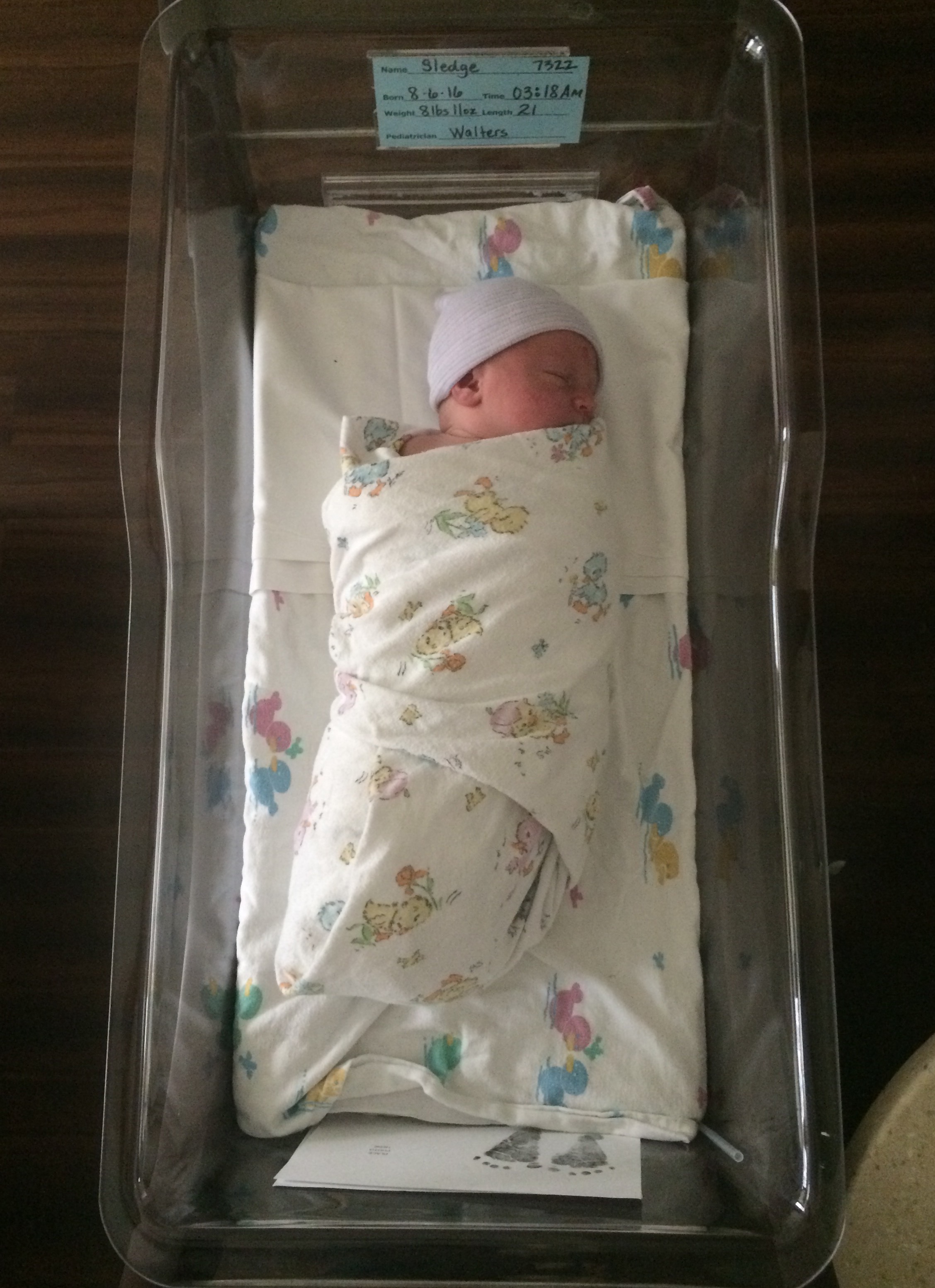 Denver In Crib